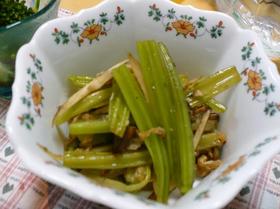 若ごぼうと薄揚げの炒め煮