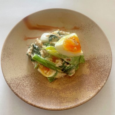 小松菜と半熟卵のツナサラダの写真