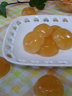 簡単!!果実たっぷりグレープフルーツグミ