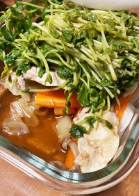 レンジ調理！鶏肉と豆苗の蒸し野菜