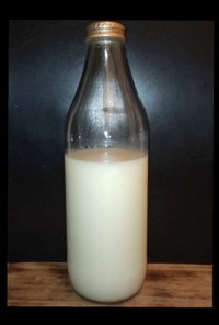脱脂粉乳・イースト菌使用カルピス風原液