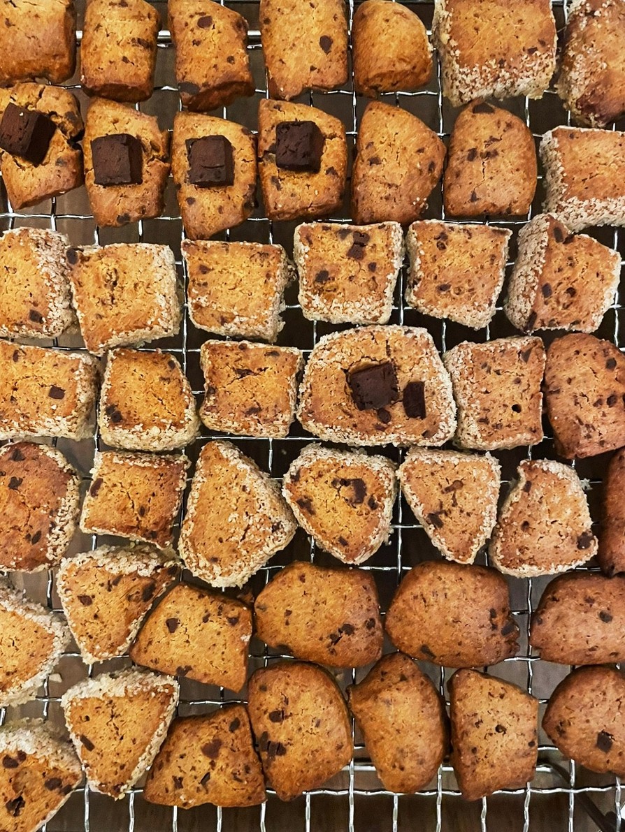 チョコチップクッキー（BP不使用）の画像