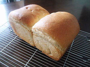 キャラメルミルクの食パンの画像