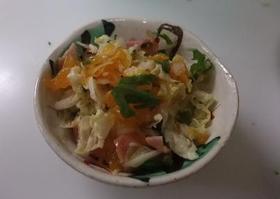 白菜とみかんのサラダ