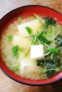 味噌汁レシピ！豆腐