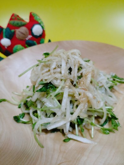 豆苗と千切り大根の中華サラダ　の写真