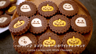 ハロウィン♪ ココアの型抜きクッキーの写真