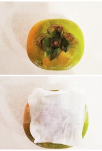 柿のノーストレス保存方法