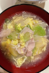 白菜、鶏肉、えのきのスープ