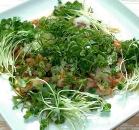鶏のタタキ風