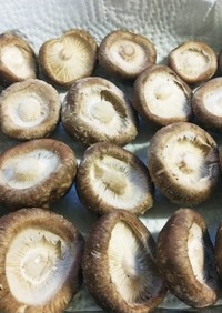 生椎茸の保存方法と粉末干し椎茸の作り方