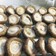 生椎茸の保存方法と粉末干し椎茸の作り方