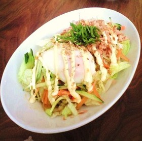 サッパリコク旨!サラダうどん