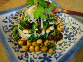 お豆と香味野菜の春色和風さらだ