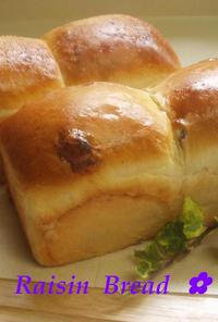 ✿ミニ食パン　レーズン✿