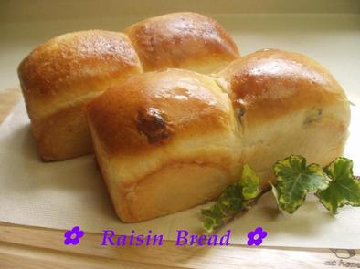 ✿ミニ食パン　レーズン✿の写真