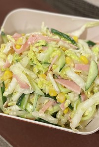 白菜消費レシピ★彩りコールスローサラダ