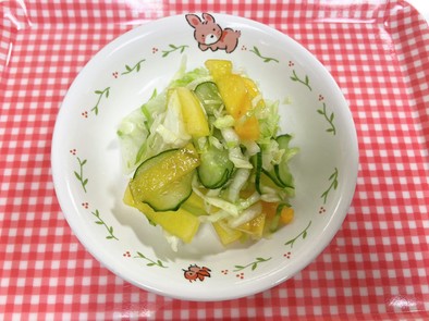[保育園幼児食]柿のサラダの写真