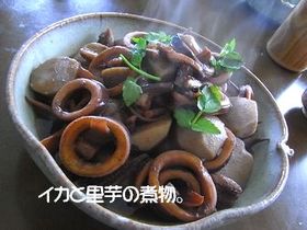 イカと里芋の煮物