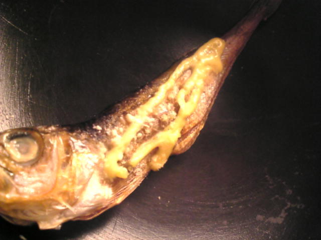 ハタハタの干物のマヨネーズチーズ焼きの画像