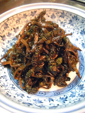 春、つくしの煮物♪