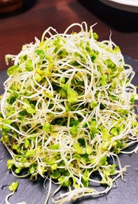 ブロッコリースプラウトサラダ