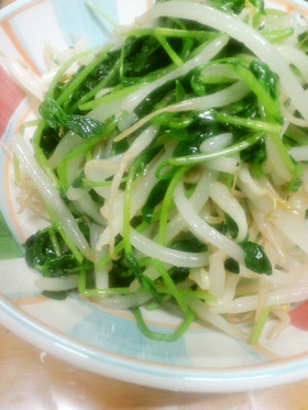 簡単に!豆苗ともやしのナムル