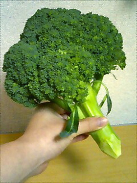 野菜シャキーーン!d(✪✪)b 再生術