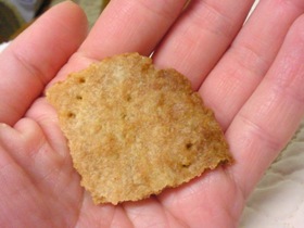 アレルギーっ子おやつ~味噌かわらクッキー