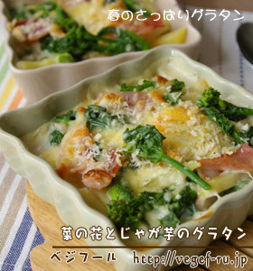 菜の花とじゃが芋のグラタン