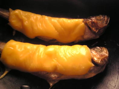 ハタハタのチェダーチーズ焼きの写真