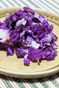 紫白菜（紫奏子）で梅干の白菜和風ラペ