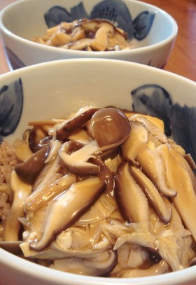 湯葉と豆腐とキノコのあんかけ丼
