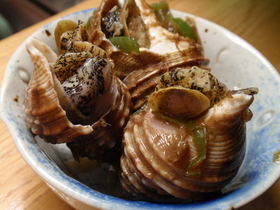 おつまみもってこい!!灯台ツブの醤油煮♪