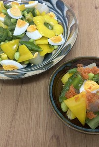 うりずん豆(四角豆)と冬瓜のサラダ