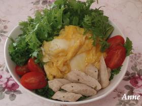 ☆ササミ&わさび菜のレモン風味サラダ☆