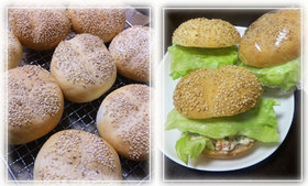 バーガー用のパン
