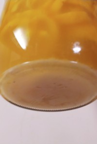 柚子酵母シロップ〜天然酵母パン