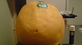 ☆レンジだけで簡単 絶品ピール☆