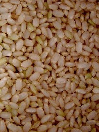 玄米をおいしく炊く方法の写真