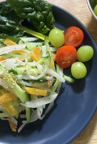 柿と大根　きゅうりの塩麹サラダ