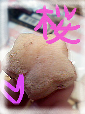 さくらくっきー(*´∀`)ノ