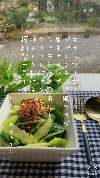 ☆キャベツのペペロンチーノ風サラダ☆の写真