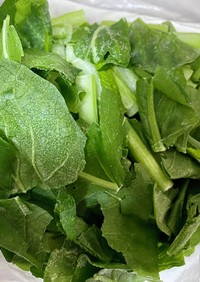 カット野菜冷凍保存　小松菜