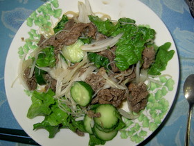 ノンオイル☆タイ風牛肉のナンプラーサラダ