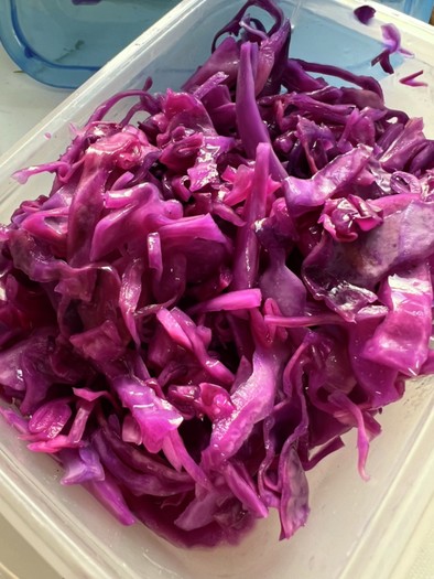 紫キャベツの酢漬けの写真