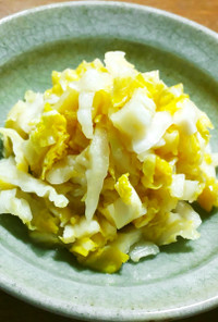 塩だけ乳酸発酵白菜漬けヨーグルトメーカー