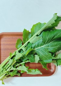 【野菜ソムリエ】大根の葉の保存法