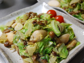 お財布に優しい春キャベツの炒め物