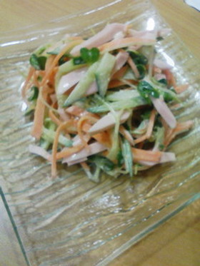 野菜いっぱいサラダ